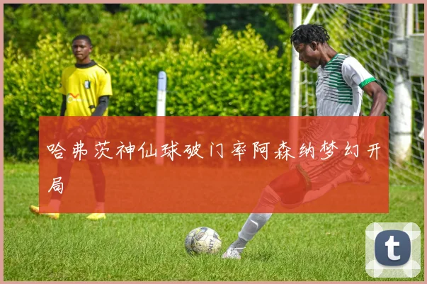 哈弗茨神仙球破门率阿森纳梦幻开局