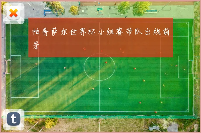 帕普萨尔世界杯小组赛带队出线前景