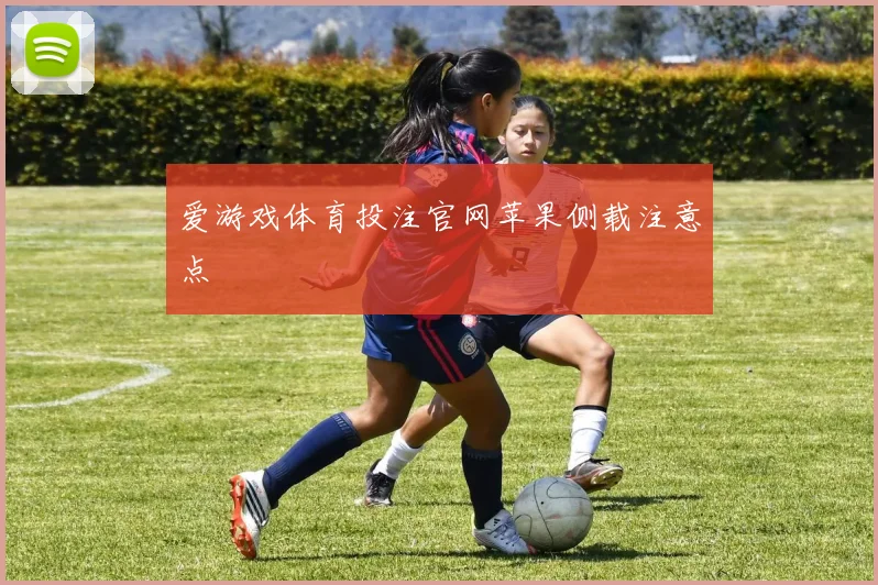 爱游戏体育投注官网苹果侧载注意点