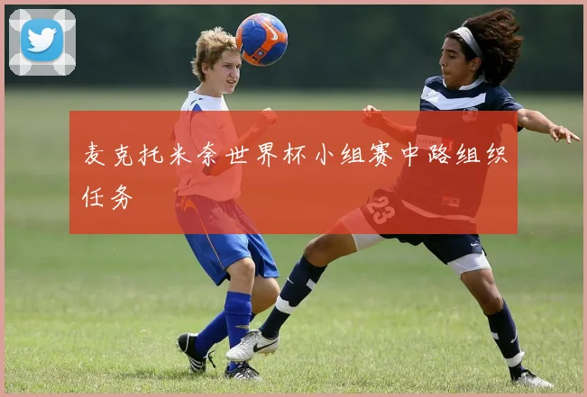 麦克托米奈世界杯小组赛中路组织任务